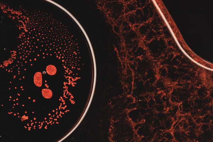 A red and white liquid flows in a small circular pattern on a dark surface