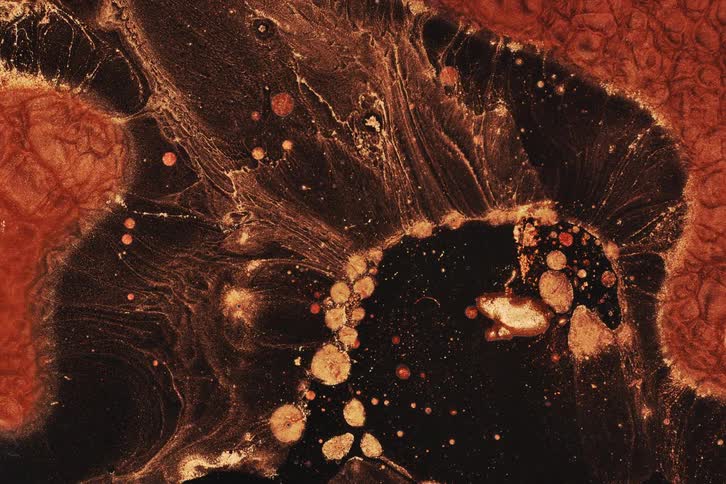 A vivid mix of black and orange liquid flows and swirls in an abstract marbled pattern with suspended bubbles and shifting textures