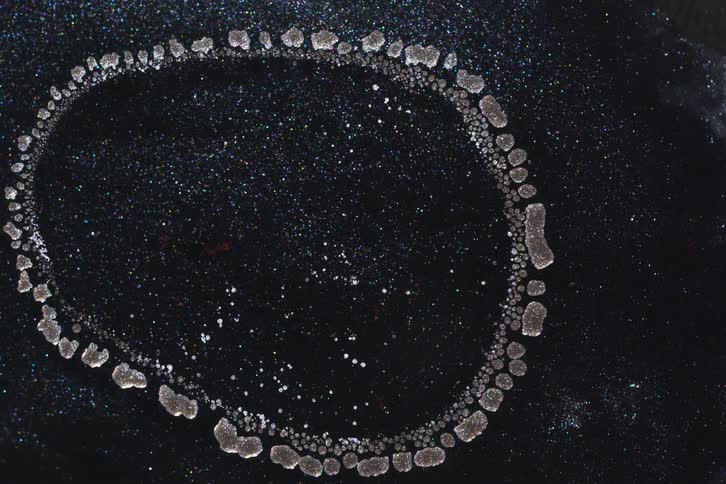 A black liquid with white particles on the surface contracting into a circular