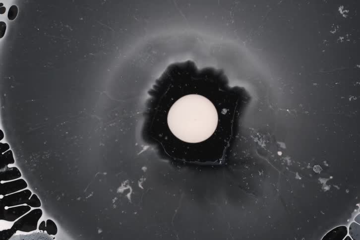 Soap bubble contracts leaving a network of white against a black background