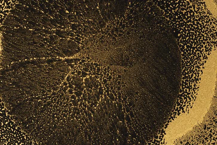 The surface of a brown liquid with some white particles expanding to the sides