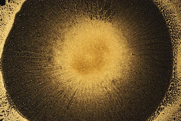 Gold specs erupt from the middle of a circle