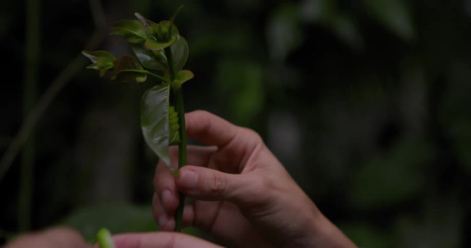 Two people examine a plant growing in the garden during the daytime