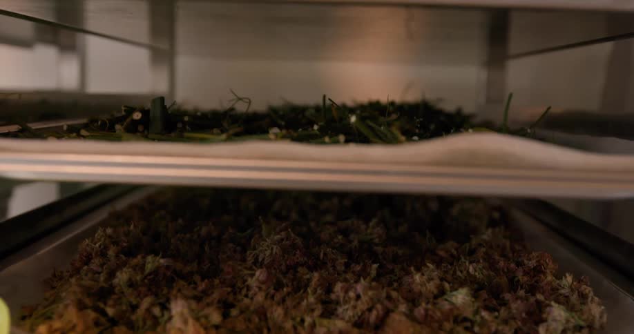Dried leaves on shelves