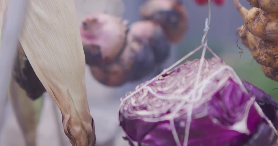 Closeup footage of assorted root vegetables including purple cabbage and burnt onions hanging from strings in an outdoor setting