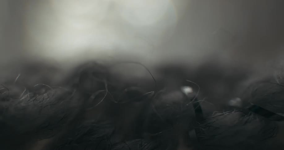 A dreamy softfocus extreme closeup of abstract textures possibly feathers or hair in glowing light