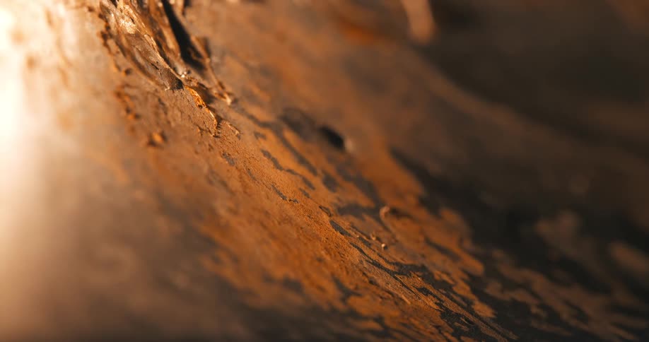 Rust and paint are on the metal