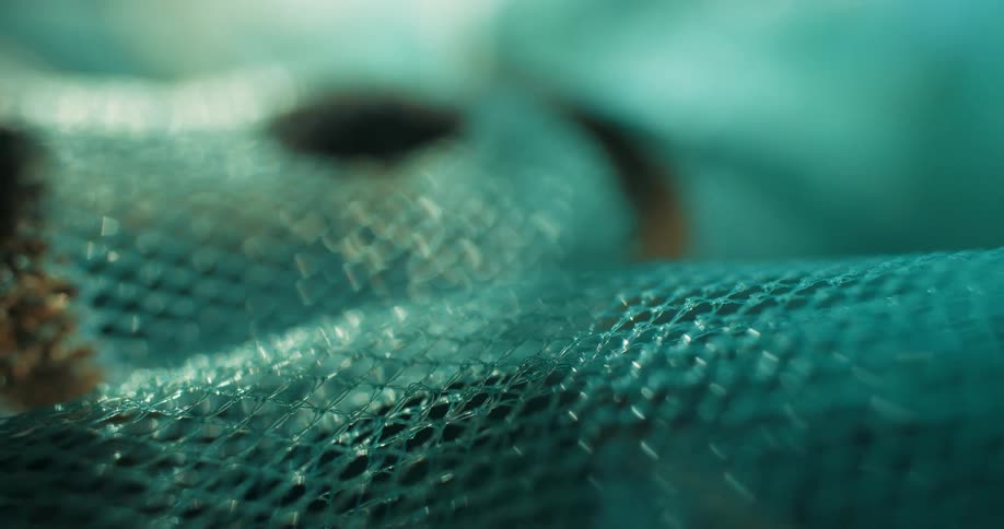 A green object is under the blue mesh