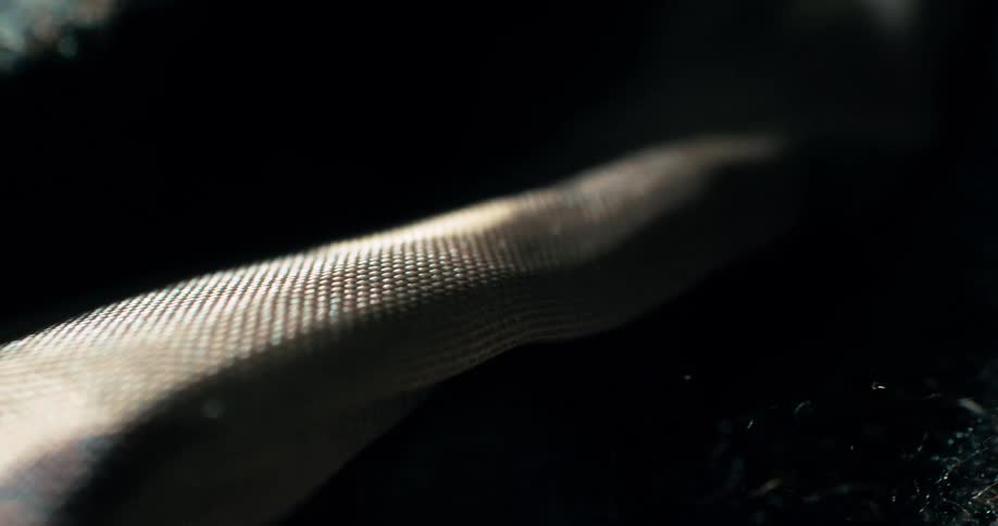 Pale fine textured snake like item with an orange and black pattern contrasts with a fuzzy coarse fabric