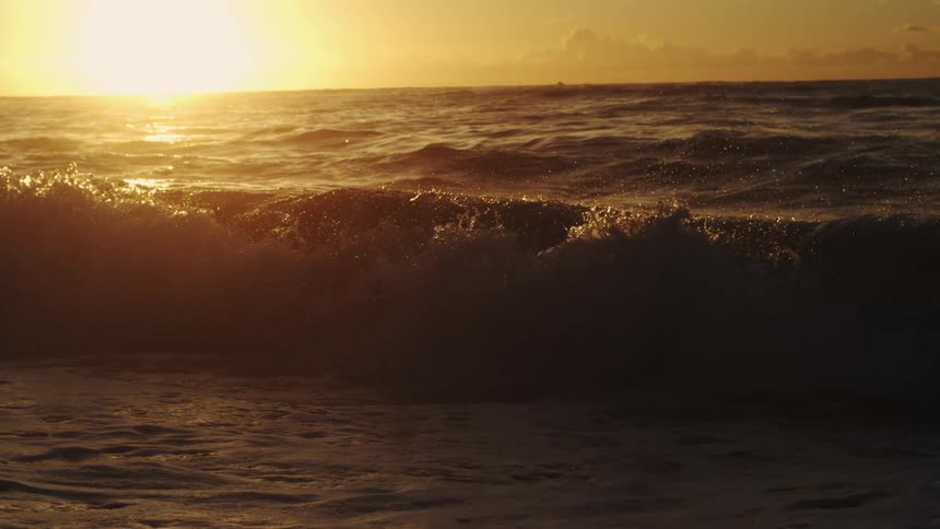 Sun shines from the horizon onto a wave crashing onto the beach