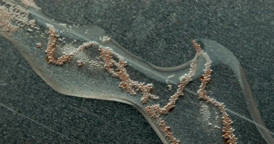 A small strip of water on the ground with several brown particles inside and some bubbles moving around