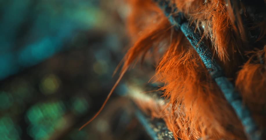 Metallic colors and orange fuzz decorate an animal with dark legs