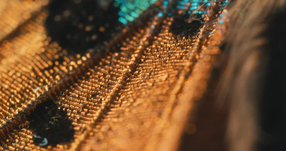 The light reflects on the colorful embroidery