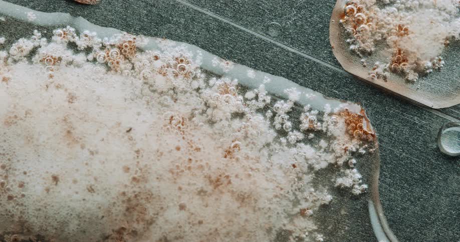 A microscopic closeup of mold colonies on a glass slide showing foamy fuzzy textures in white and orange tones
