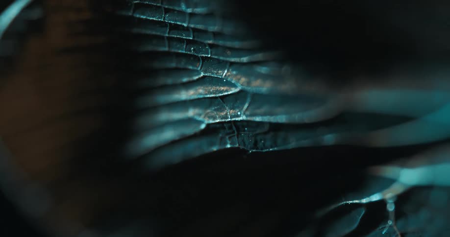 Close up of an abstract surface with cracks