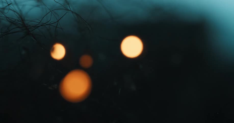 Fire burns along tendrils of brush on a hazy night leaving them burnt