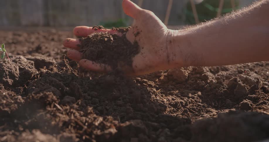 A man reaches a hand into the dirt and grabs a handful of dark fertile soil picking it up and letting it slip off his open palm and through his fingers