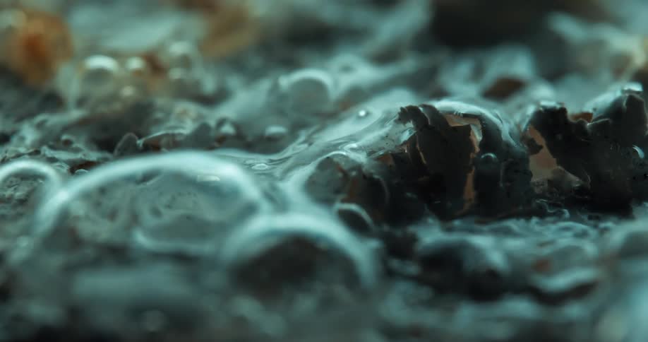 Bubbles cover a mixture of torn and irregularly shaped pieces lying together