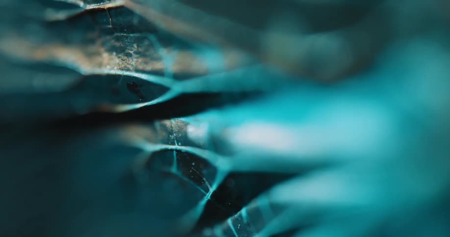Close up of an abstract texture