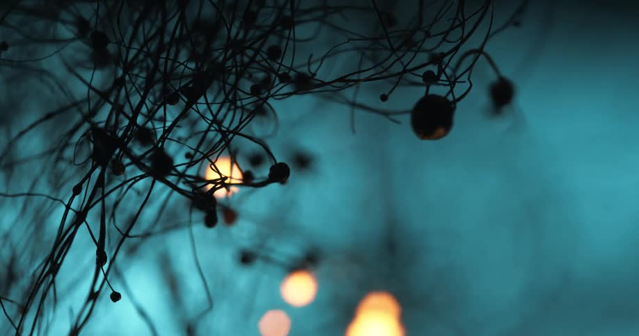 Fire consuming plants within a forest at night with thick fog hanging in the air and smoke blending into the misty atmosphere