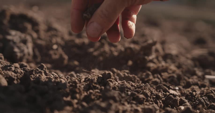 He lifts then slowly drops the grains of soil