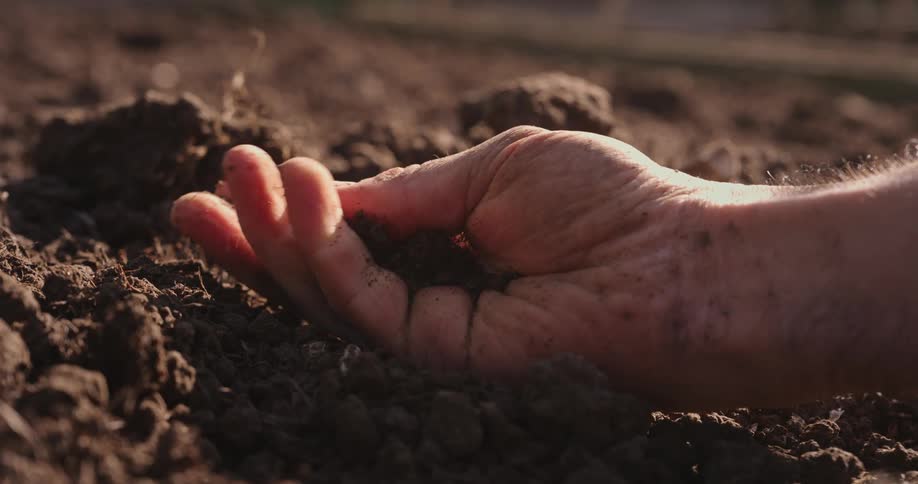 A closeup shot of a hand gently sifting through soil in a field highlighting a moment of connection with the earth