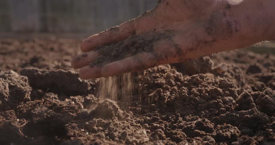 A man holds garden soil in his right hand on a windy day