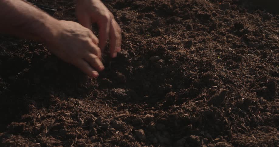 Person tills and digs through soil using their hands