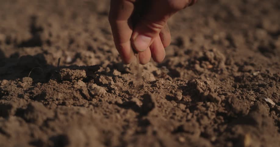 Person breaking clumps of soil with their fingers in slow motion