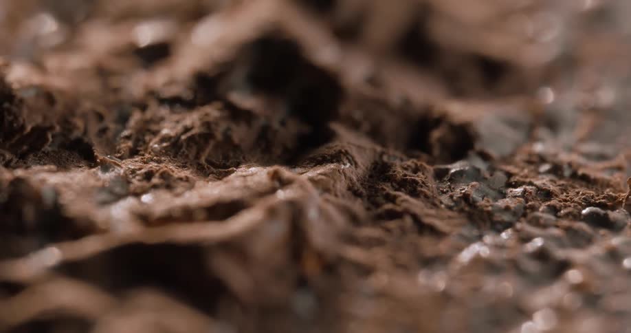 An extreme closeup shot captures the rich textured surface of wet soil or mud emphasizing its natural patterns and organic detail