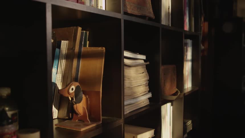 A bookcase filled with books and other items
