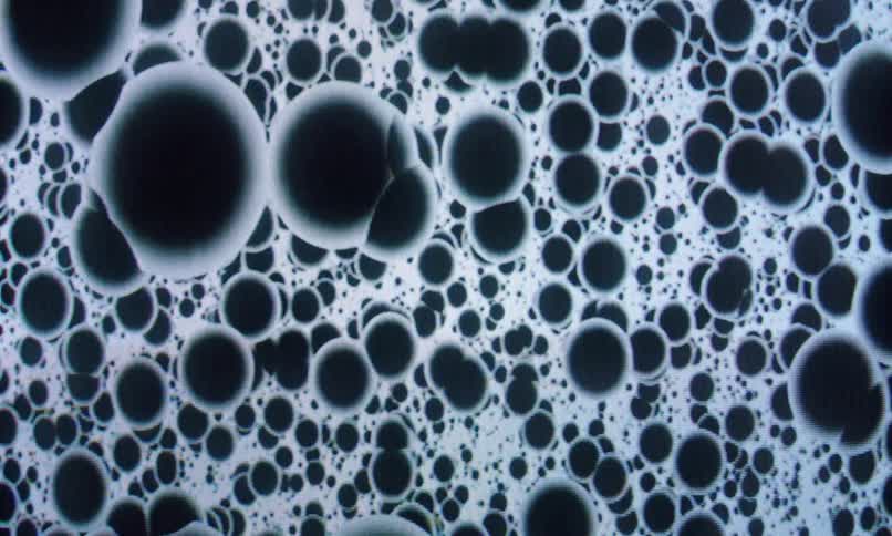 A shifting pattern of black circles of various sizes floats against a light background resembling microscopic bubbles