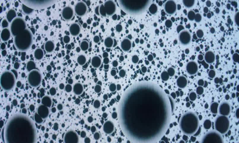 Black dots patterned in abstract motion against a white dimension