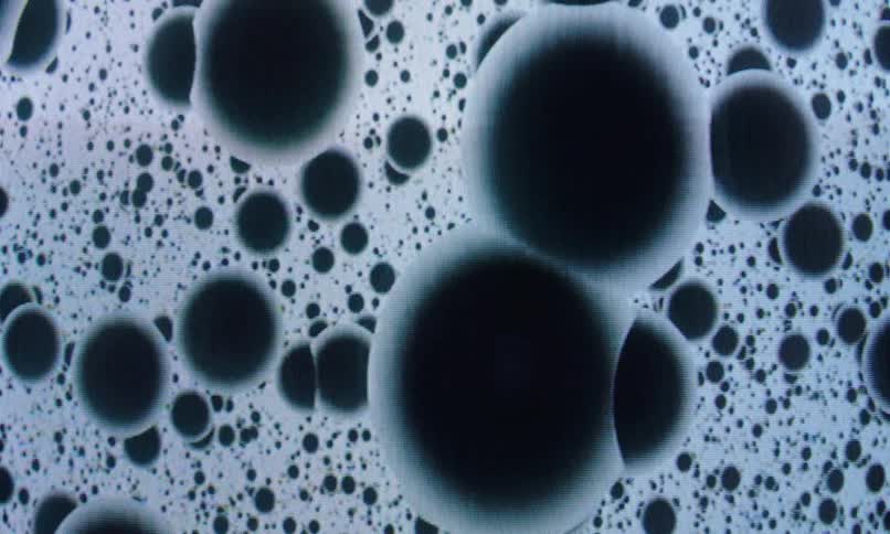 Black dots rain against a white background