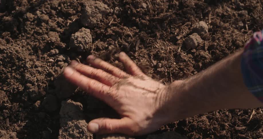 A man places his hand on soil feeling the earth in a natural outdoor setting