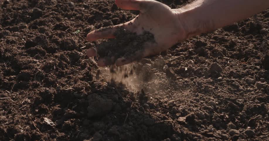 A man holds garden soil in his hand on a windy day