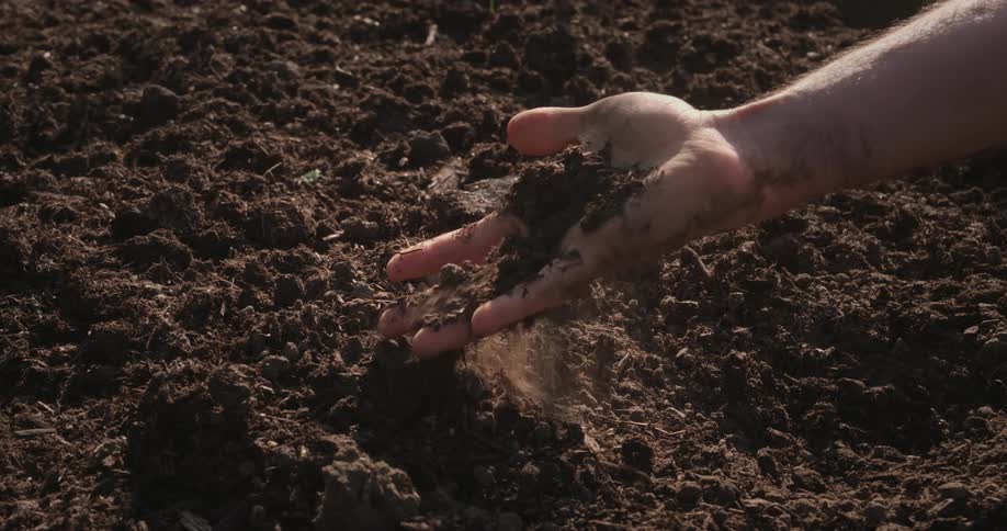 A hand gently sifts through rich dark soil in a sunlit field highlighting the texture and quality of the earth