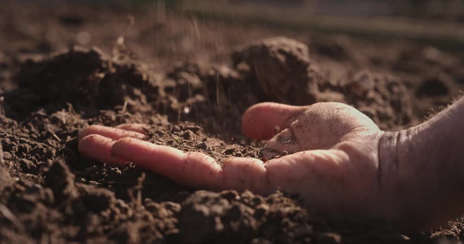 A man sprinkles dirt on the palm of his hand