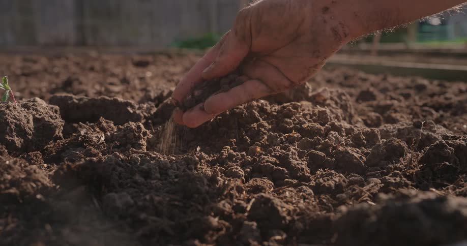 A closeup of a persons hand gently sifting through soil in a garden or agricultural setting