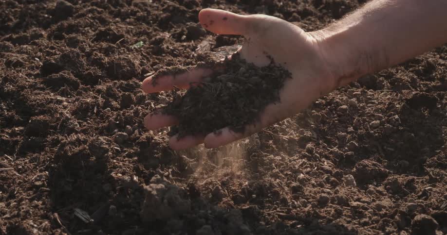 Closeup hand of a man with soil on his palm at daytime