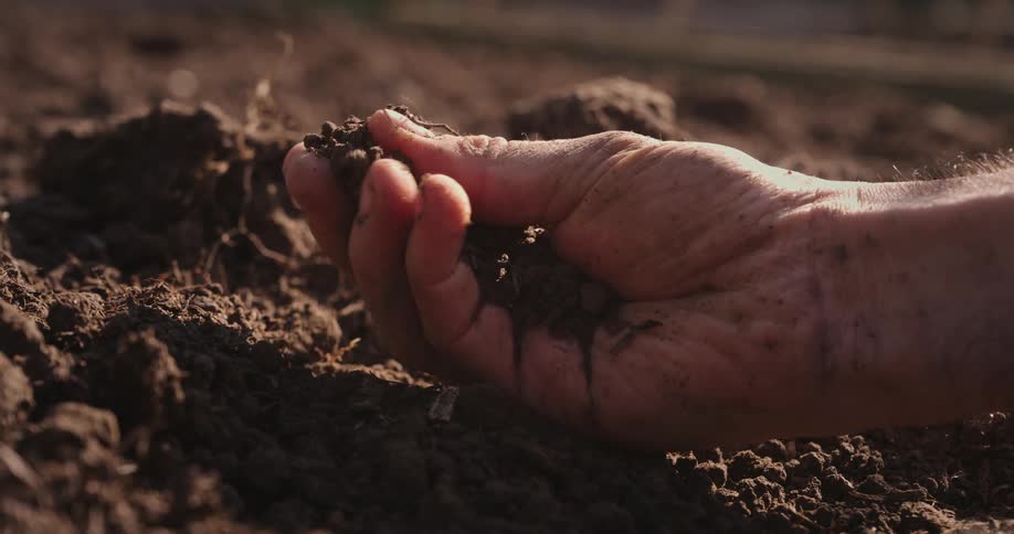 Man grasps a handful of earth and feels it between his fingers