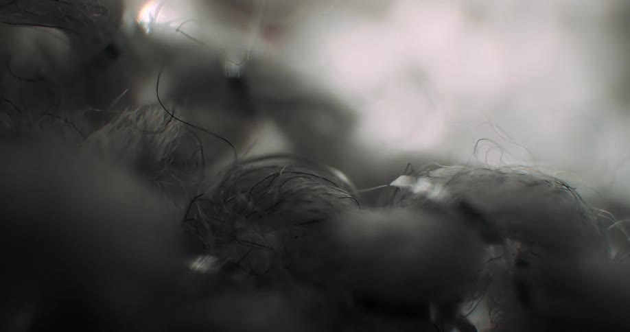 Dark threads intertwined with loose lint are seen in macro