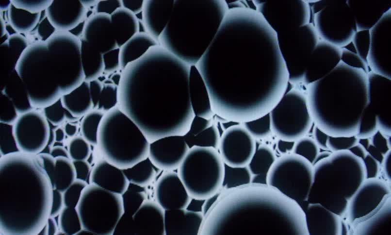 Several circular objects with their white edges and black centers