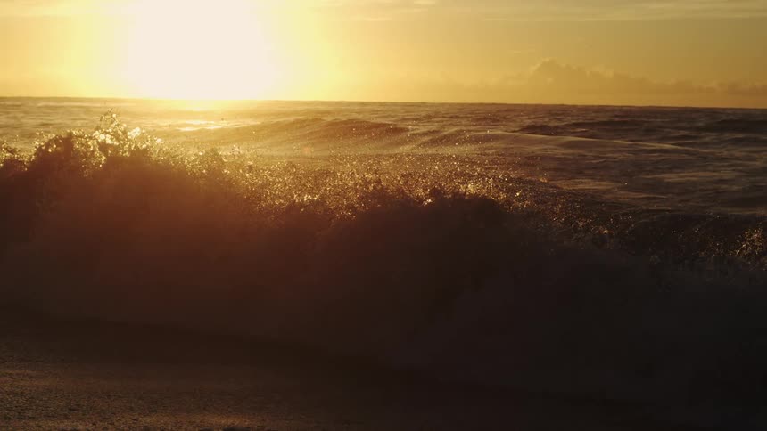 The sun rises as the wave crashes on the beach