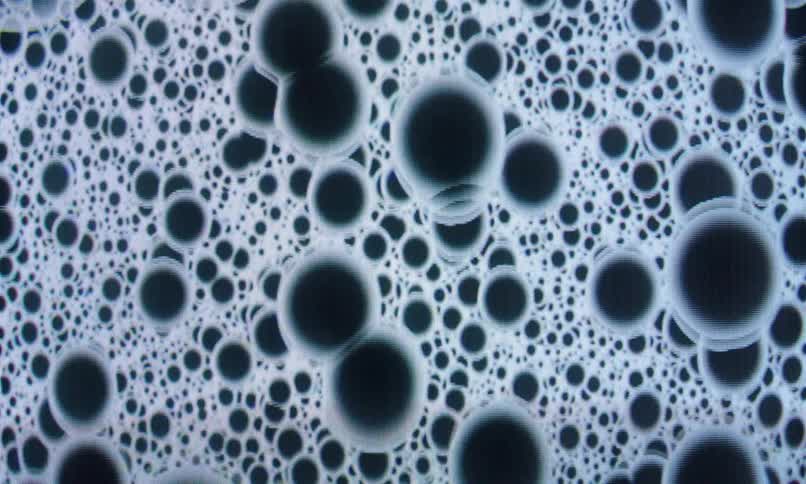 A highly magnified and abstract image of clustered circular shapes resembling bubbles or cells creating a dense patterned texture