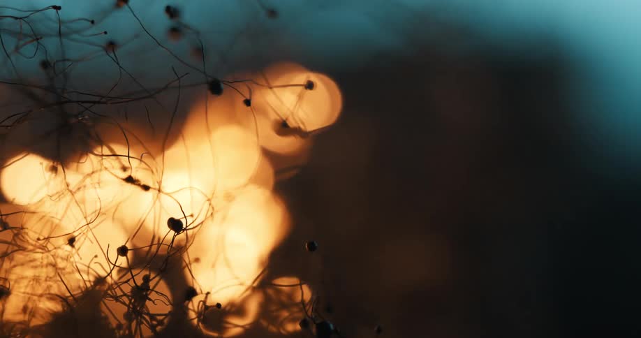 A flame sparks and then winds down