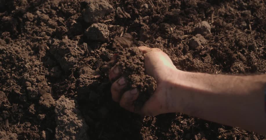 A human hand squeezing a piece of earth into several smaller pieces