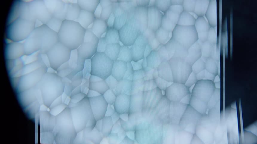 Abstract small white dot fractals