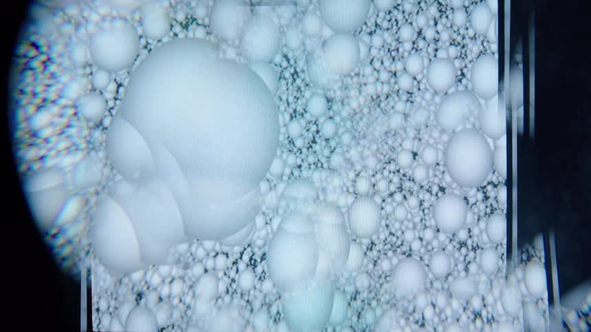 A macro shot reveals clustered translucent spheres forming an abstract cellular pattern with a surreal quality