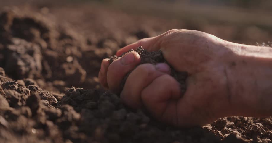 A person grips a pile of dirt in their hand and then releases the dirt onto the ground